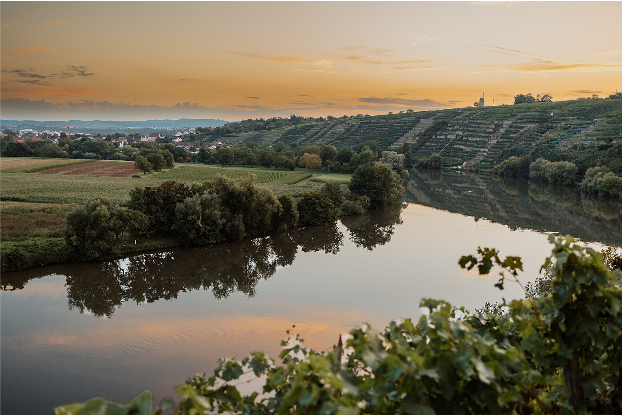 Weinregion Kirchheim am Neckar