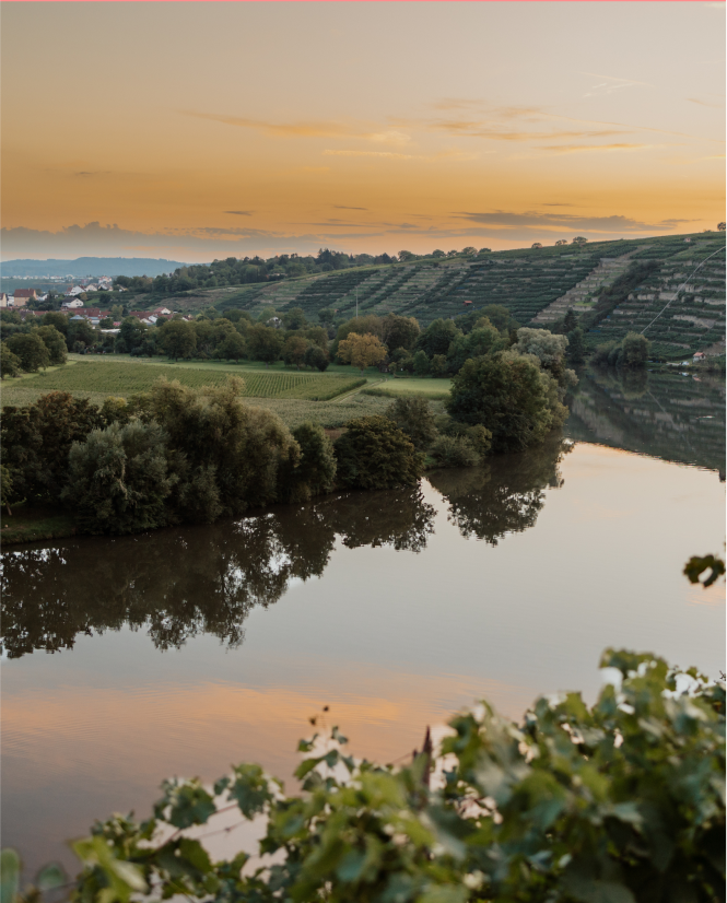 Weinregion Kirchheim am Neckar