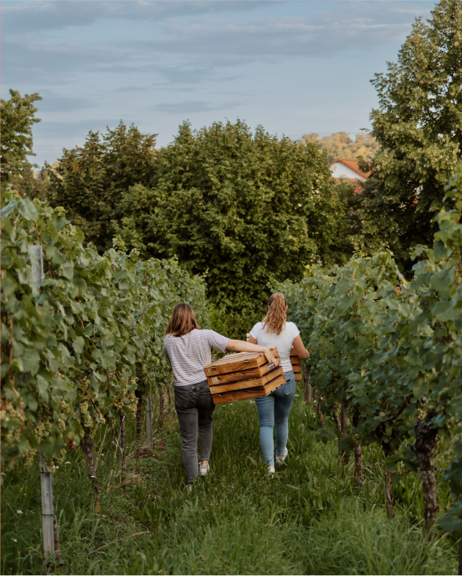 Lisa Riecker mit Freundin in den Weinbergen mit Weinkiste