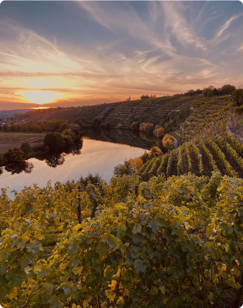 Kirchheim am Neckar bei Sonnenuntergang
